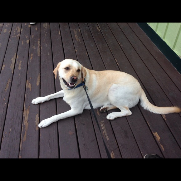 Meet your Posher, Jill - Picture 7 of 7